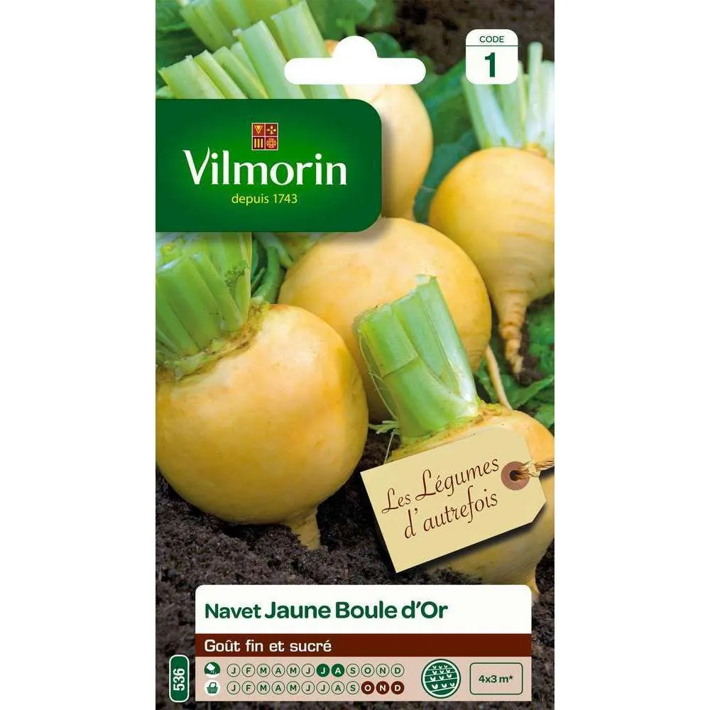 Graines de navet jaune Boule d'Or en sachet