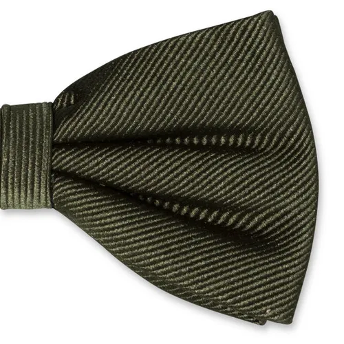 Noeuds papillon / Nœud papillon homme vert foncé