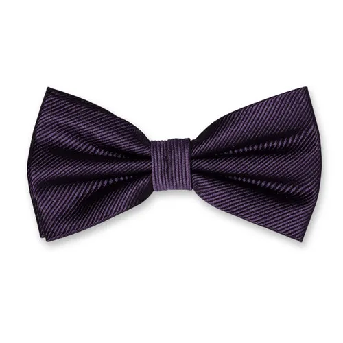 Noeuds papillon / Nœud papillon homme violet foncé