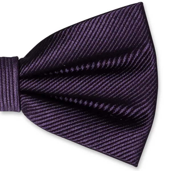 Noeuds papillon / Nœud papillon homme violet foncé