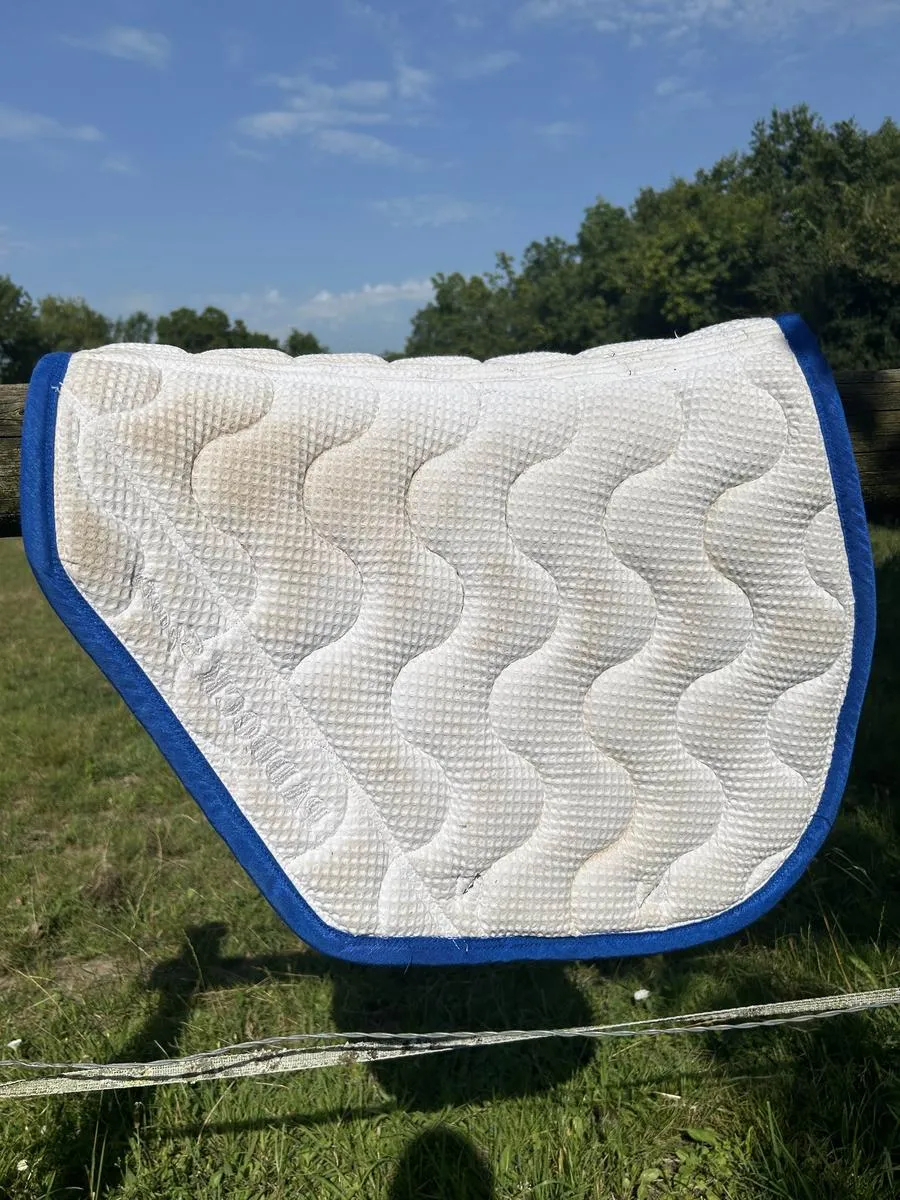 tapis paddock bleu