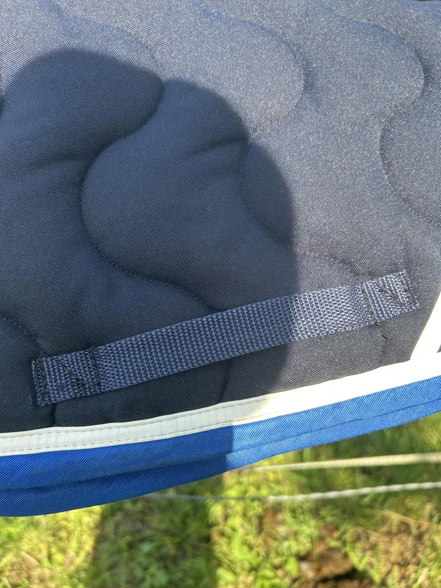 tapis paddock bleu